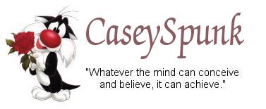 CaseySpunk - "What the mind can conceive and believe, it can achieve."